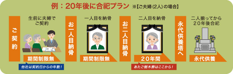 20年後に合祀プラン
